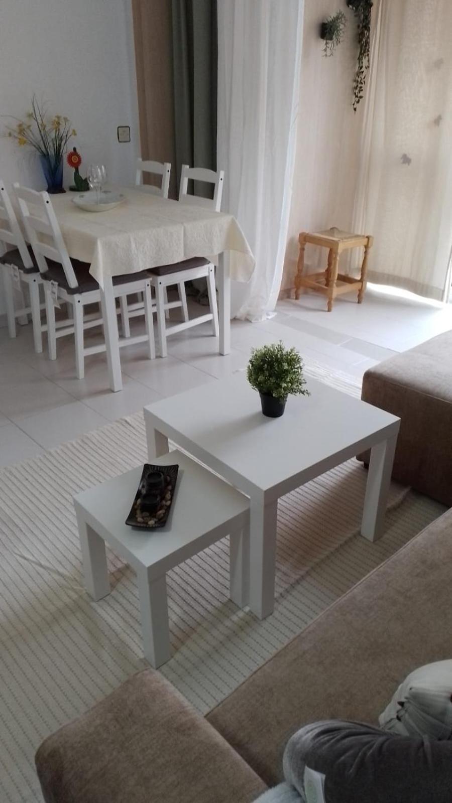托雷维耶哈Apartamneto Vicente Blasco Ibanez公寓 外观 照片